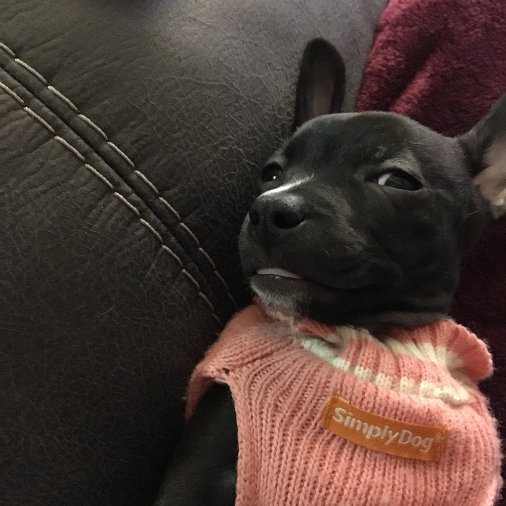 Meet your Posher, WB